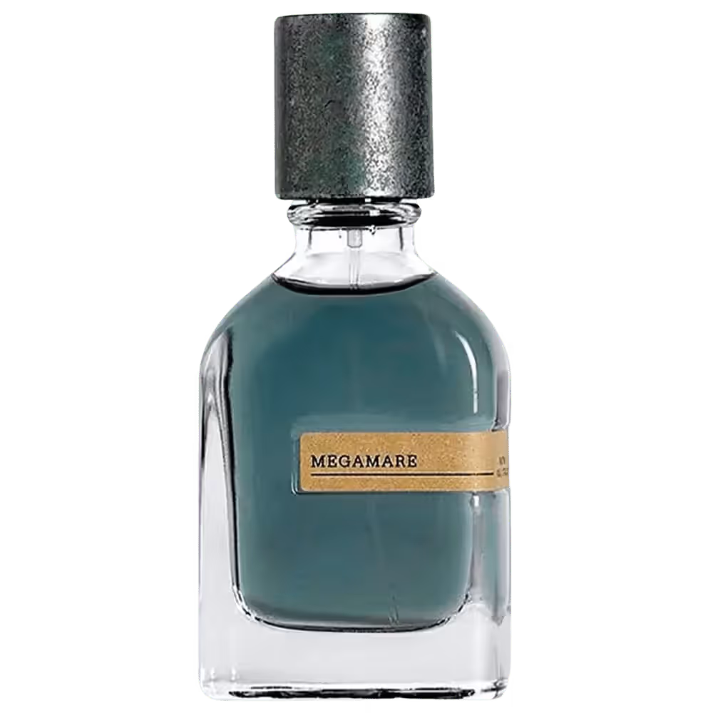 ميجامير اورتو باريسي